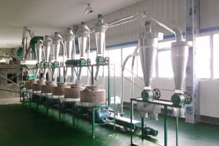 電動石磨米漿機